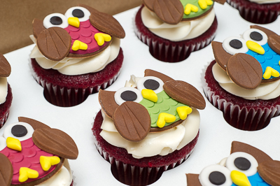 https://www.cremedelacakes.ca - Owl Cupcakes